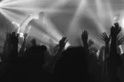 A line of hands raised at a music gig.