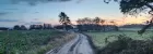 A lonely road snaking through green fields at dawn. 