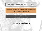 Appel à candidature - stage, 'Marionette et dramaturgie en espace public'.